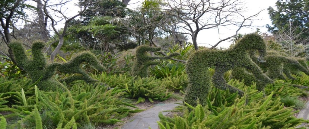 piante a forma di cavalli come esempio di creatività ai Royal Botanic Gardens
