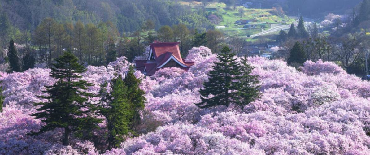 Rovine del Castello di Takato, Nagano