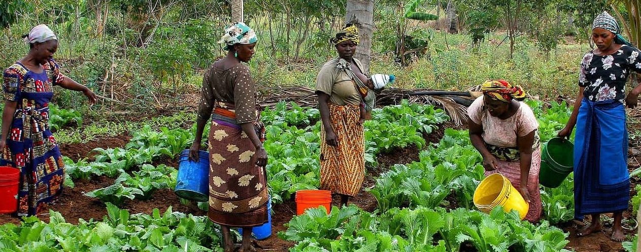 Economia agricoltura Tanzania