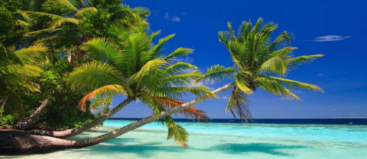 Tropical Paradise at Maldives 